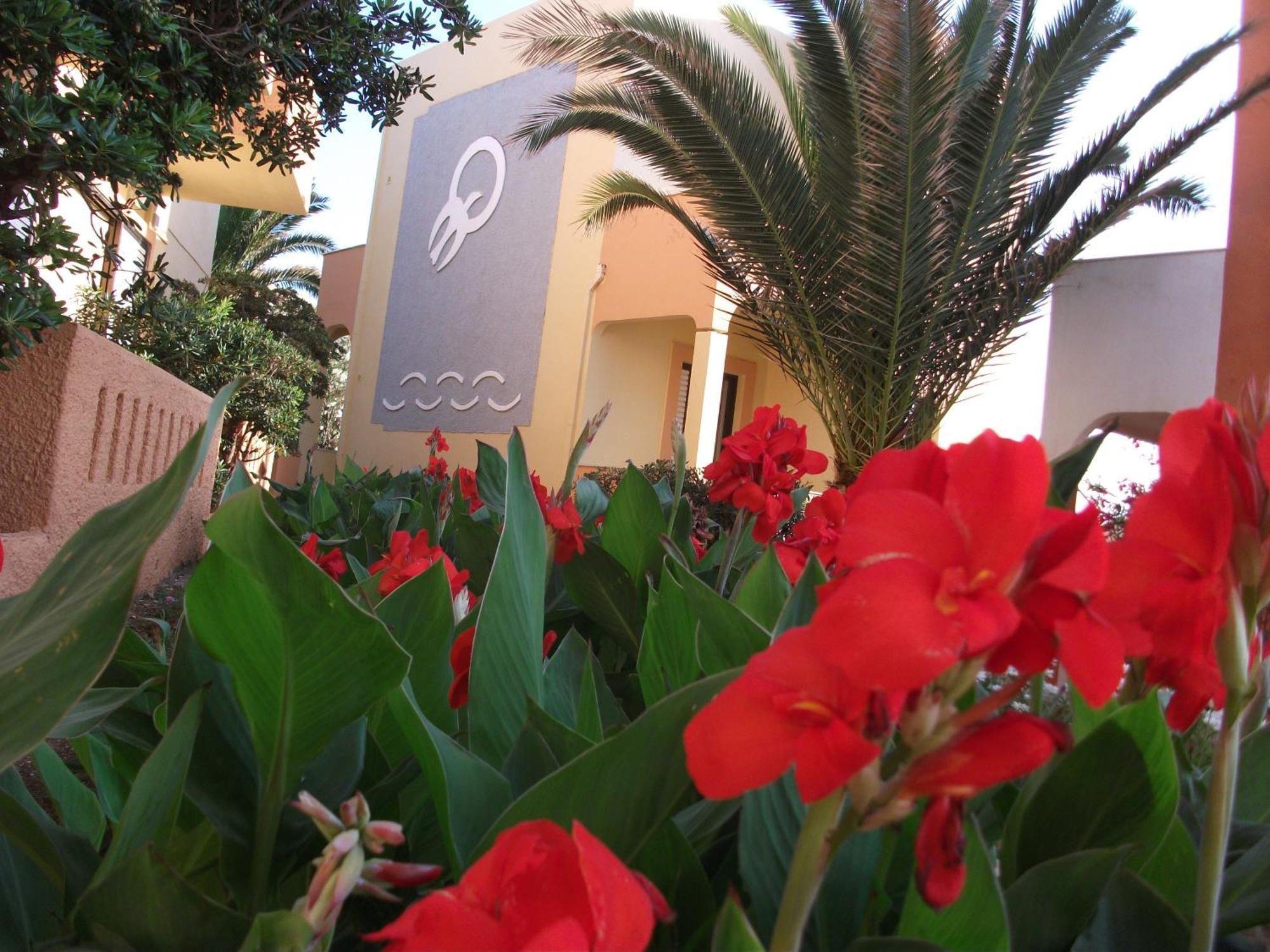 Almyra Apartments & Suites Sfakaki Luaran gambar
